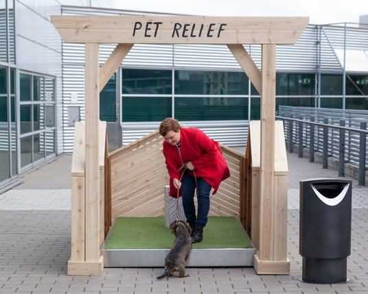 Файл:Туалет для собак хельсинки.jpg