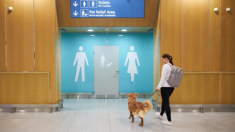 Файл:Туалет для собак хельсинки 3.jpg
