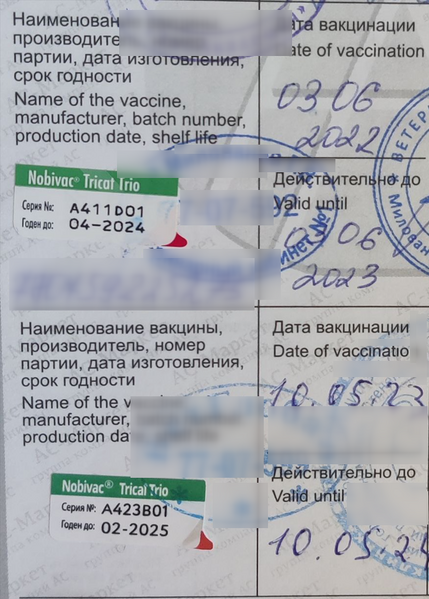 Файл:Вакцинация в 2022 и 2023.png