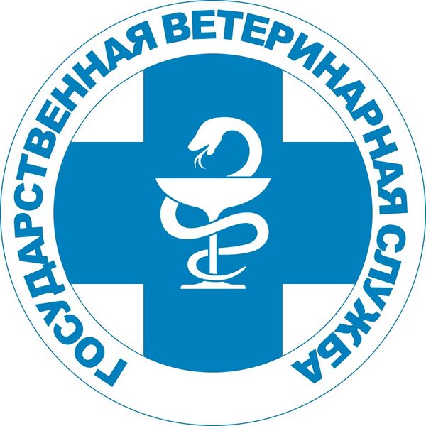 Файл:СББЖ лого.jpg