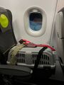 Переноска Skudo 2 (55х36х35см) на рейсе авиакомпании S7. Хорошо помещается в кресле, не блокирует переднее кресло
